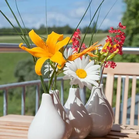 Apartament Haus Lina Emmingen-Liptingen Zewnętrze zdjęcie